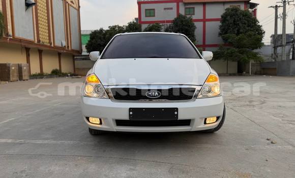 Buy Used Kia Carnival White Car in Phnom Penh in Phnom Penh Buy Used Kia Carnival White Car in Phnom Penh in Phnom Penh