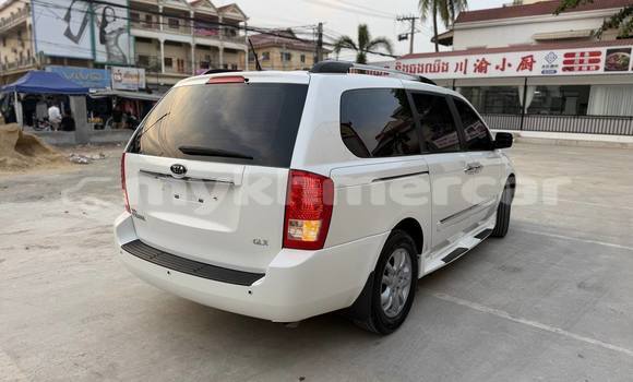 Buy Used Kia Carnival White Car in Phnom Penh in Phnom Penh Buy Used Kia Carnival White Car in Phnom Penh in Phnom Penh