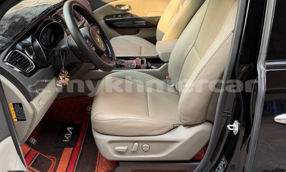 Buy Used Kia Carnival Black Car in Phnom Penh in Phnom Penh Buy Used Kia Carnival Black Car in Phnom Penh in Phnom Penh