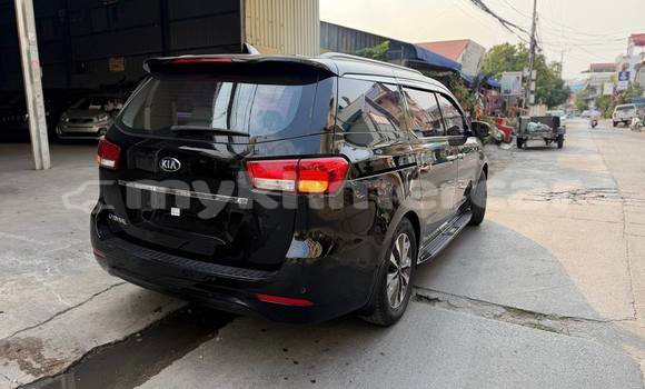Buy Used Kia Carnival Black Car in Phnom Penh in Phnom Penh Buy Used Kia Carnival Black Car in Phnom Penh in Phnom Penh