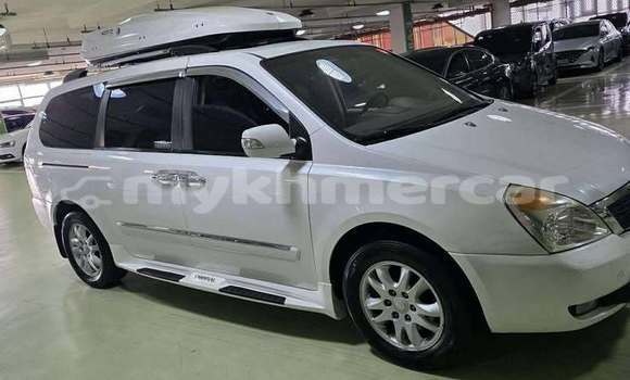 Buy Used Kia Carnival White Car in Phnom Penh in Phnom Penh Buy Used Kia Carnival White Car in Phnom Penh in Phnom Penh