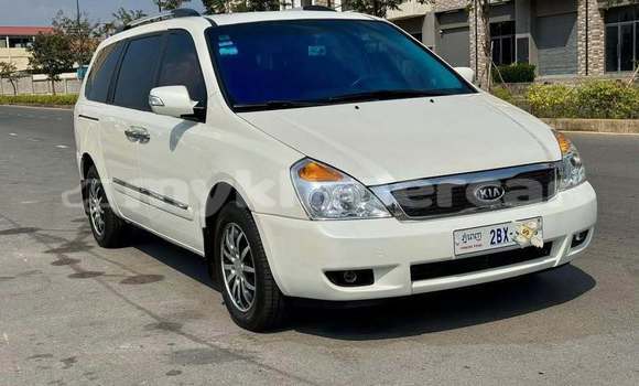 Buy Used Kia Carnival White Car in Phnom Penh in Phnom Penh