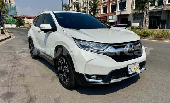 Buy Used Honda CR–V White Car in Phnom Penh in Phnom Penh