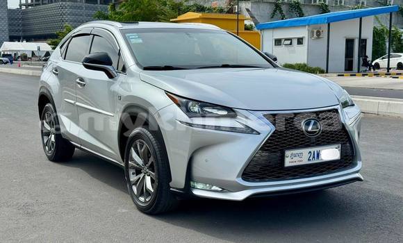 Buy Used Lexus NX Other Car in Phnom Penh in Phnom Penh