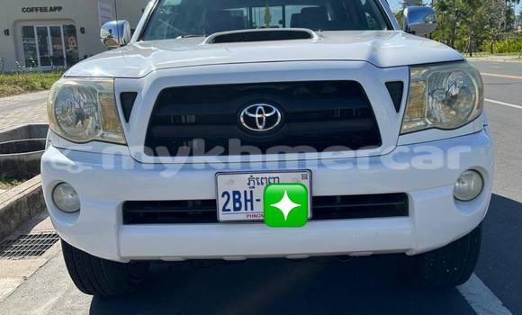 Buy Used Toyota Tacoma White Car in Phnom Penh in Phnom Penh