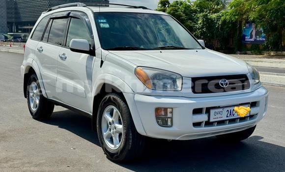 Buy Used Toyota RAV4 White Car in Phnom Penh in Phnom Penh