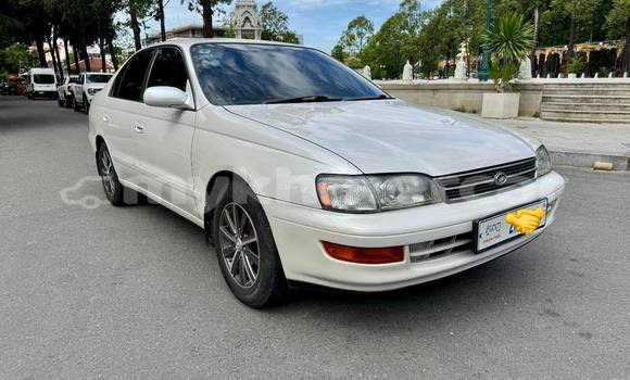 Buy Used Toyota Corona White Car in Phnom Penh in Phnom Penh Buy Used Toyota Corona White Car in Phnom Penh in Phnom Penh