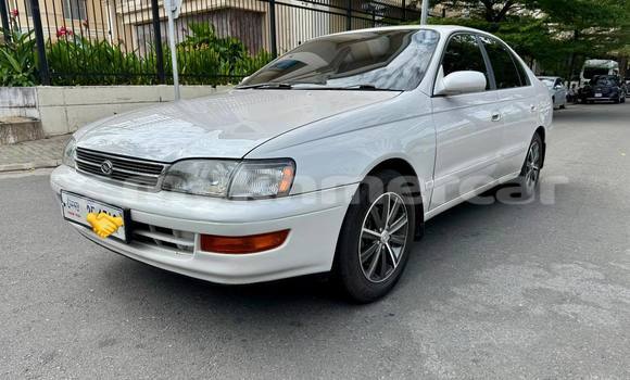 Buy Used Toyota Corona White Car in Phnom Penh in Phnom Penh Buy Used Toyota Corona White Car in Phnom Penh in Phnom Penh