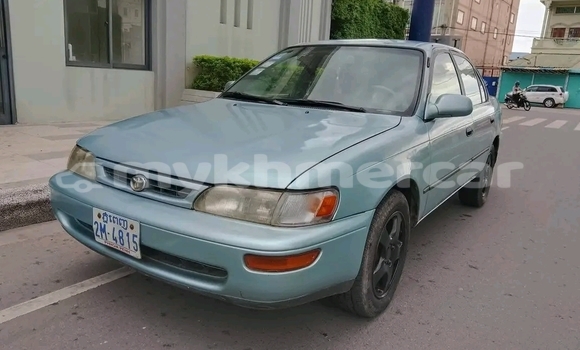 Buy Used Toyota Corolla Blue Car in Cheom Ksan in Preah Vihear Province Buy Used Toyota Corolla Blue Car in Cheom Ksan in Preah Vihear Province