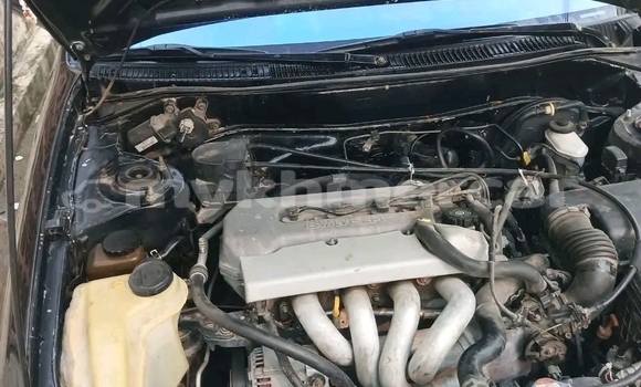 Buy Used Toyota Corolla Black Car in Bavet in Svay Rieng Province Buy Used Toyota Corolla Black Car in Bavet in Svay Rieng Province