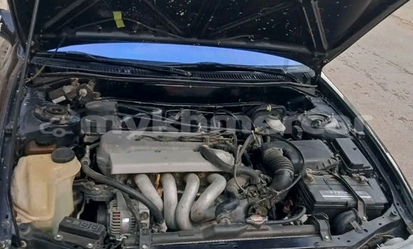 Buy Used Toyota Corolla Black Car in Bavet in Svay Rieng Province Buy Used Toyota Corolla Black Car in Bavet in Svay Rieng Province