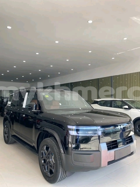 Big with watermark byd l3 svay rieng province bavet 9817