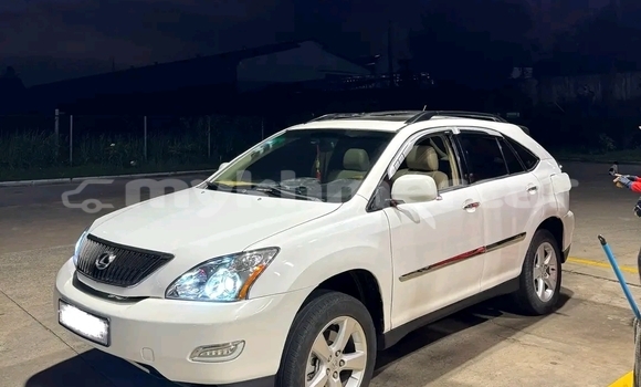 Buy Used Lexus RX White Car in Bavet in Svay Rieng Province Buy Used Lexus RX White Car in Bavet in Svay Rieng Province