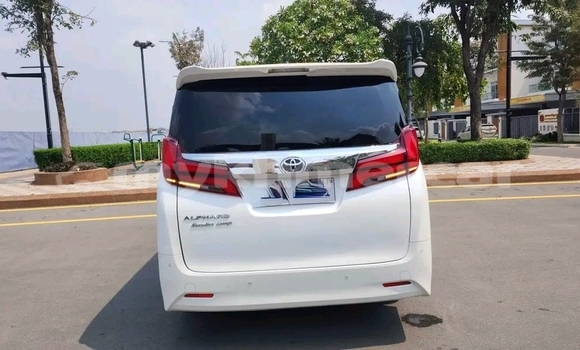 Buy Used Toyota Alphard White Car in Phnom Penh in Phnom Penh