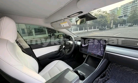 Buy Used Tesla Model 3 White Car in Phnom Penh in Phnom Penh Buy Used Tesla Model 3 White Car in Phnom Penh in Phnom Penh