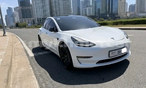 Buy Used Tesla Model 3 White Car in Phnom Penh in Phnom Penh Buy Used Tesla Model 3 White Car in Phnom Penh in Phnom Penh