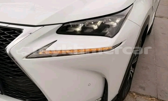 Buy Used Lexus NX White Car in Phnom Penh in Phnom Penh Buy Used Lexus NX White Car in Phnom Penh in Phnom Penh