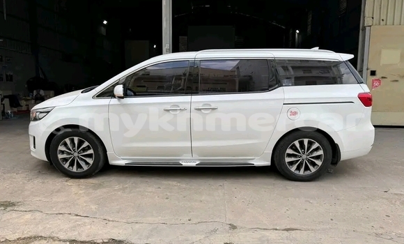 ទិញ បានប្រើ Kia Carnival White ឡាន} ក្នុង Bavet ក្នុង Svay Rieng Province