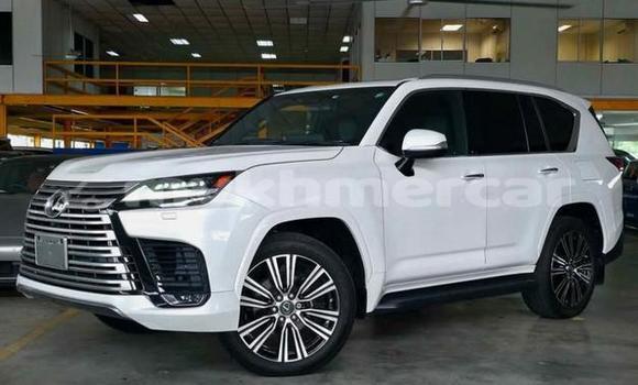 Buy Used Lexus LX White Car in Phnom Penh in Phnom Penh