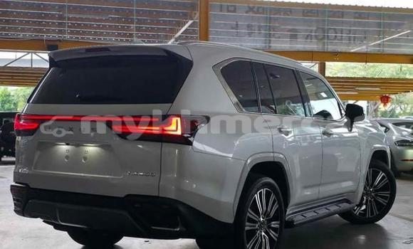 ទិញ បានប្រើ Lexus LX White ឡាន} ក្នុង Phnom Penh ក្នុង Phnom Penh ទិញ បានប្រើ Lexus LX White ឡាន} ក្នុង Phnom Penh ក្នុង Phnom Penh