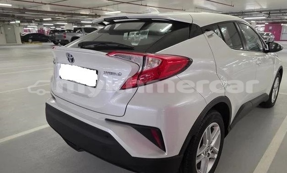 Buy Used Toyota C-HR White Car in Phnom Penh in Phnom Penh Buy Used Toyota C-HR White Car in Phnom Penh in Phnom Penh