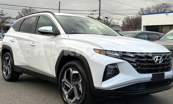 Buy Used Hyundai Tucson White Car in Phnom Penh in Phnom Penh