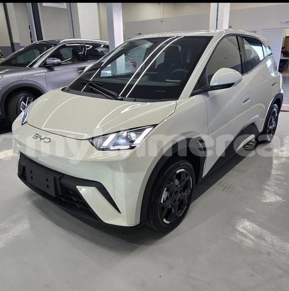 Big with watermark byd s6 phnom penh phnom penh 9899