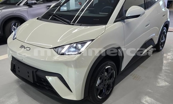 Buy Used BYD S6 White Car in Phnom Penh in Phnom Penh