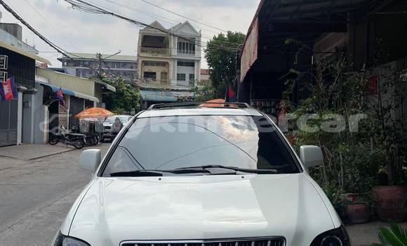 Buy Used Lexus RX 300 White Car in Phnom Penh in Phnom Penh