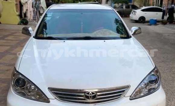 Buy Used Toyota Corolla White Car in Phnom Penh in Phnom Penh Buy Used Toyota Corolla White Car in Phnom Penh in Phnom Penh