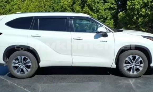 Buy Used Toyota Highlander White Car in Phnom Penh in Phnom Penh