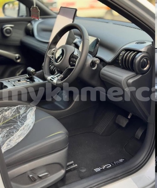 Big with watermark byd f3 phnom penh phnom penh 9984