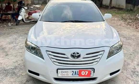 Buy Used Toyota Alphard Other Car in Bavet in Svay Rieng Province