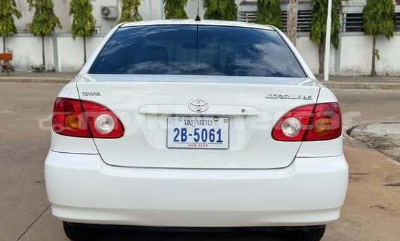 Buy Used Toyota Corolla Other Car in Bavet in Svay Rieng Province