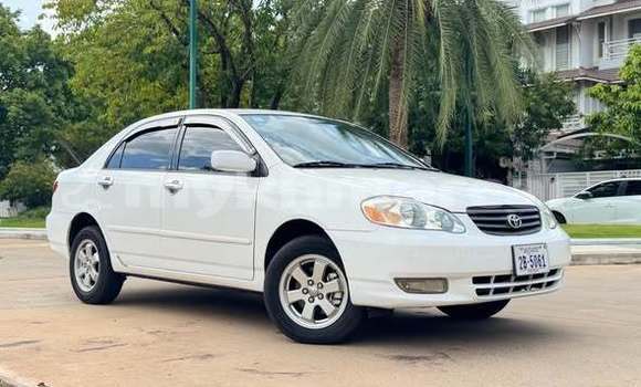 Buy Used Toyota Corolla Other Car in Bavet in Svay Rieng Province Buy Used Toyota Corolla Other Car in Bavet in Svay Rieng Province