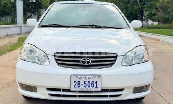 Buy Used Toyota Corolla Other Car in Bavet in Svay Rieng Province Buy Used Toyota Corolla Other Car in Bavet in Svay Rieng Province