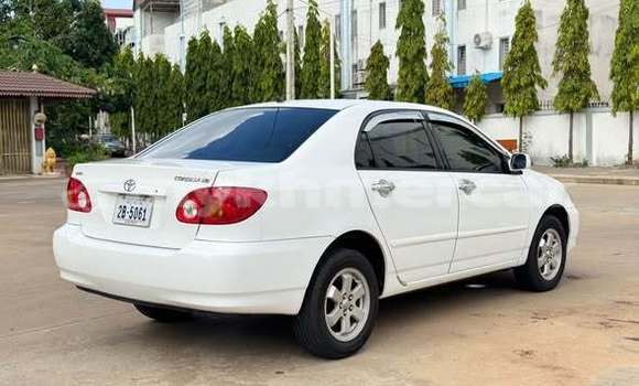 Buy Used Toyota Corolla Other Car in Bavet in Svay Rieng Province Buy Used Toyota Corolla Other Car in Bavet in Svay Rieng Province
