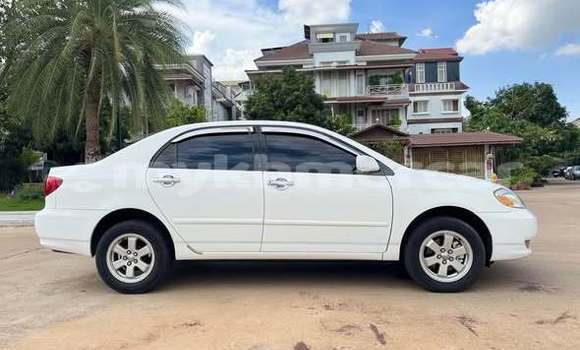 Buy Used Toyota Corolla Other Car in Bavet in Svay Rieng Province Buy Used Toyota Corolla Other Car in Bavet in Svay Rieng Province