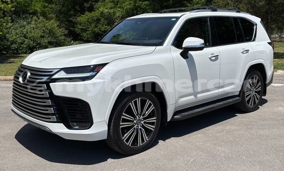 Buy Used Lexus LX White Car in Phnom Penh in Phnom Penh