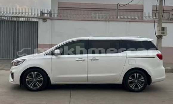 Buy Used Kia Carnival Other Car in Bavet in Svay Rieng Province Buy Used Kia Carnival Other Car in Bavet in Svay Rieng Province