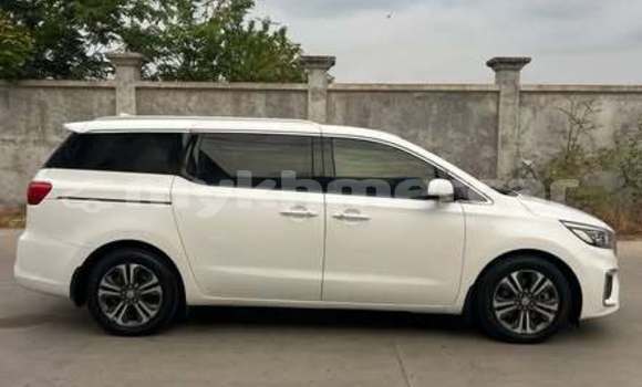 Buy Used Kia Carnival Other Car in Bavet in Svay Rieng Province Buy Used Kia Carnival Other Car in Bavet in Svay Rieng Province