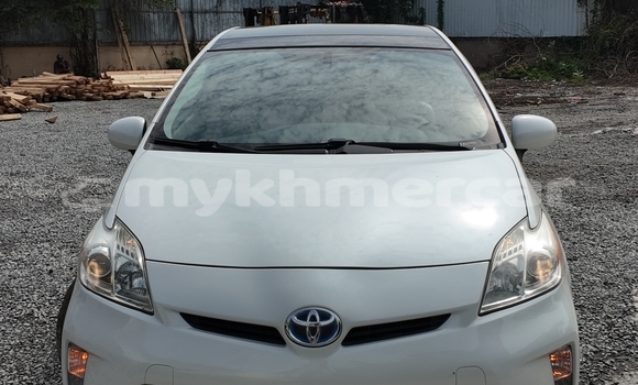 Buy New Toyota Prius White Car in Phnom Penh in Phnom Penh