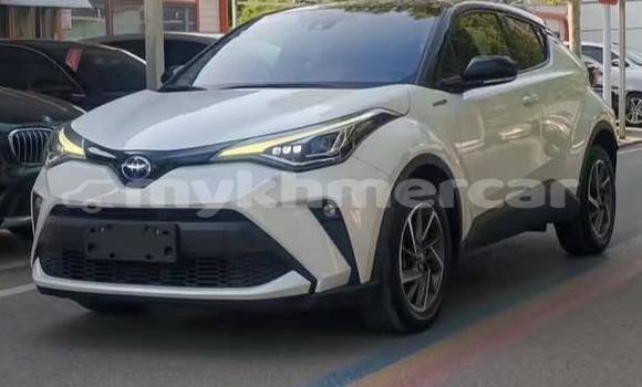 Buy Used Toyota C-HR White Car in Phnom Penh in Phnom Penh