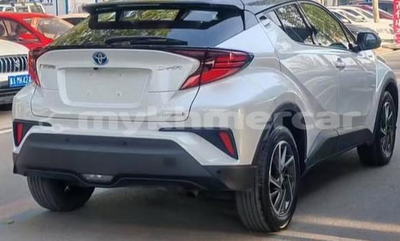 Buy Used Toyota C-HR White Car in Phnom Penh in Phnom Penh Buy Used Toyota C-HR White Car in Phnom Penh in Phnom Penh