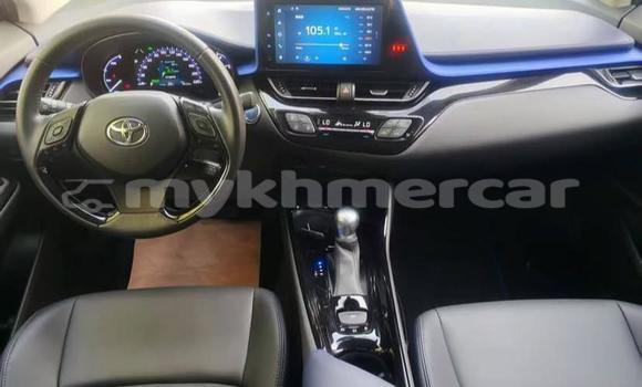Buy Used Toyota C-HR White Car in Phnom Penh in Phnom Penh Buy Used Toyota C-HR White Car in Phnom Penh in Phnom Penh