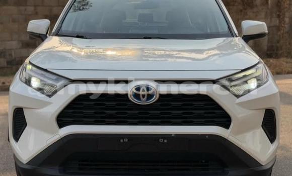 Buy Used Toyota RAV4 White Car in Phnom Penh in Phnom Penh