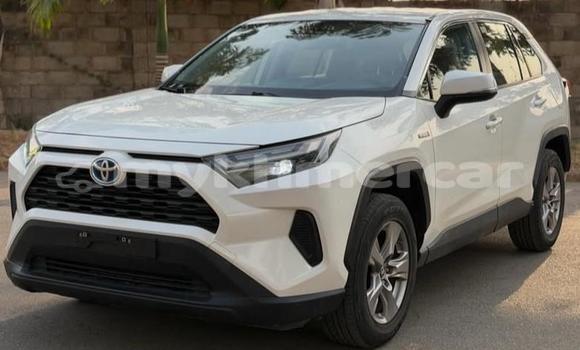 Buy Used Toyota RAV4 White Car in Phnom Penh in Phnom Penh Buy Used Toyota RAV4 White Car in Phnom Penh in Phnom Penh