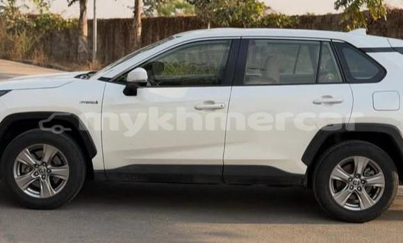 Buy Used Toyota RAV4 White Car in Phnom Penh in Phnom Penh Buy Used Toyota RAV4 White Car in Phnom Penh in Phnom Penh