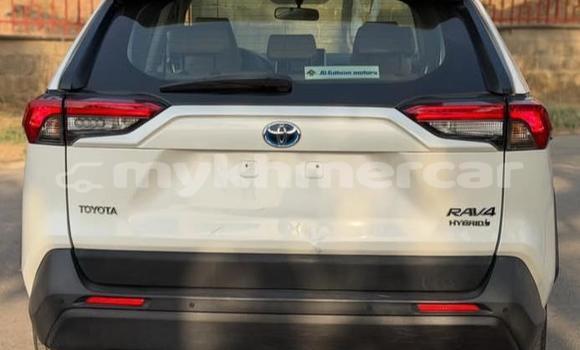 Buy Used Toyota RAV4 White Car in Phnom Penh in Phnom Penh Buy Used Toyota RAV4 White Car in Phnom Penh in Phnom Penh