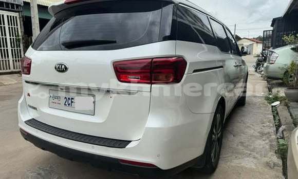 Buy Used Toyota Corolla Other Car in Bavet in Svay Rieng Province Buy Used Toyota Corolla Other Car in Bavet in Svay Rieng Province